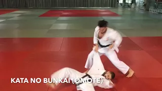 Kata Anan Bunkai, (omote y ura y aplicación shiai kumite)