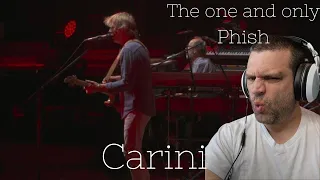 First time hearing Phish | Phish - 7/26/2023 - Carini (4K HDR) Philadelphia, PA