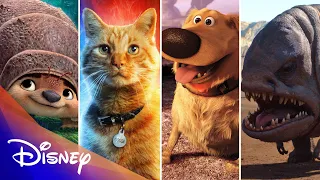 Disney’s Amazing Pets | Disney