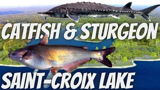 Fishing Planet SAINT CROIX LAKE Blue Catfish & Lake Sturgeon - HOTSPOT 🎣