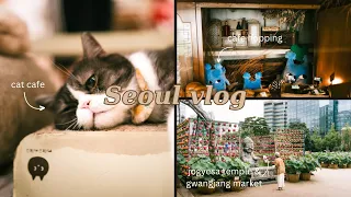 KOREA SEOUL VLOG | Gwangjang market, Cafe and tea house visits, Cat cafe, Ihwa mural village