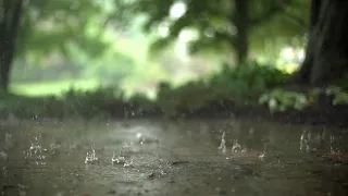 relaxing guitar music for a rainy day