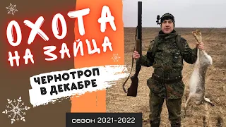 Охота на зайца-ЛУЧШИЙ ЧЕРНОТРОП. Сезон 2021-2022