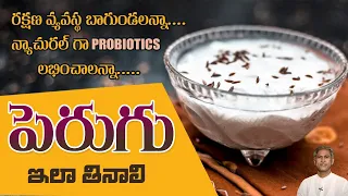 Right way to Eat Curd | Increase Defense System | Probiotic Supplements | Dr. Manthena's Health Tips