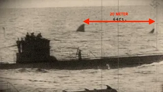Ist die deutsche Marine einem riesigen Megalodon Hai begegnet?