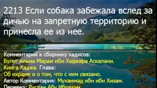 2213 Если собака забежала вслед за дичью на запретную территорию и принесла ее из нее