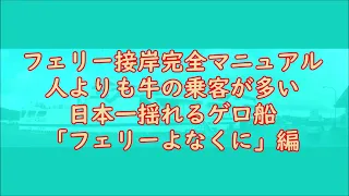 日本一揺れるゲロ船「フェリーよなくに」でノックアウト！～フェリー接岸完全マニュアル！人よりも牛の乗客が多い福山海運「よなくに」編（久部良港→石垣港）フェリー 大荒れ！