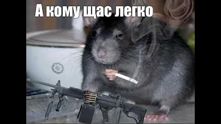 Офисные крысы #8 CSGO