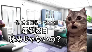 わかりにくい会社の休みの種類【猫ミーム】