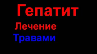 ГЕПАТИТ ЛЕЧЕНИЕ ТРАВАМИ. Эффективный сбор трав при гепатите. ВОССТАНОВЛЕНИЕ ПЕЧЕНИ ПРИ ГЕПАТИТЕ