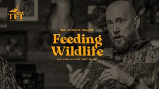 What Is The Impact of Feeding Wildlife? | Turkeys for Tomorrow | The Advantage