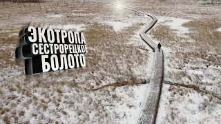 Экотропа Сестрорецкое болото. Зима 2020