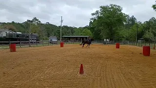 Funnel Barrels loping with transitions for lead change