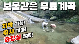 장소 공개/ 차박 취사가능한 무료계곡 vs 사람없는 숨겨진 청정계곡/ 어디든 여름엔 계곡이 진리입니다