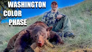 Washington Spring Bear Hunt | First Day Success!