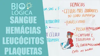 BIO LÓGICA! SANGUE: HEMÁCIAS, LEUCÓCITOS E PLAQUETAS