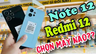 So Sánh Xiaomi Redmi 12 Và Note 12 Tại Thế Giới Di Động | Quyen GBox