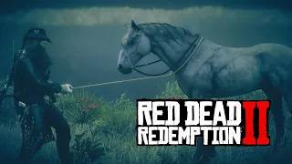 Red Dead Redemption 2 Mustang Spawn