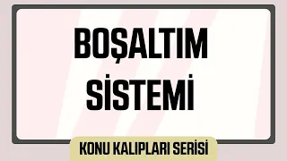 Boşaltım (Üriner) Sistemi - AYT Konu Kalıpları Serisi