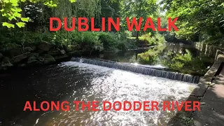 DUBLIN WALK ALONG THE DODDER RIVER.