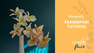 How to make a gumpaste / flower paste /sugar Frangipani flower - a step by step tutorial