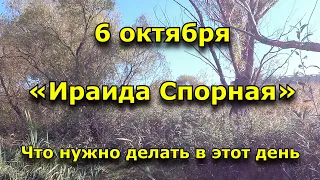 6 октября Ираида Спорная, День Иоанна. Что нужно делать в этот день.