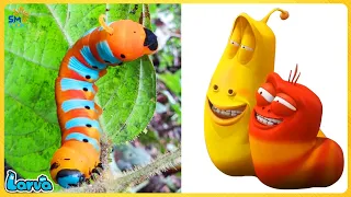 LARVA FULL EPISODE: RED OR YELLOW | CARTOONS MOVIES NEW VERSION |THE BEST OF CARTOONS COLLECTION
