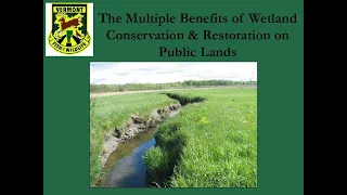 The Multiple Benefits of Wetland Conservation and Restoration on Public Lands