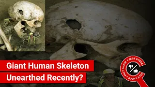 FACT CHECK: Viral Image Shows Giant Human Skeleton Unearthed Recently?