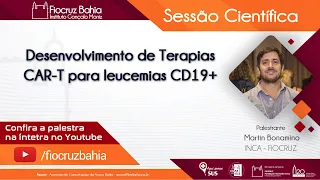 Desenvolvimento de Terapias CAR-T para leucemias CD19+