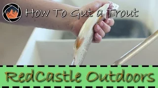 How to Gut a Trout the Right Way