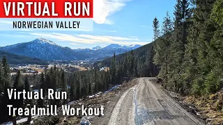 Virtual Run Valley of Flies | Running Video | Treadmill Workout