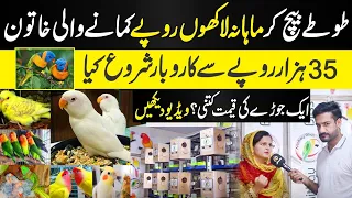 Love birds business in Pakistan - Love Birds Farming Business in Pakistan | Business idea