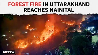 Nainital Forest Fire | Massive Forest Fire Reaches Nainital's High Court Colony, Army Called In