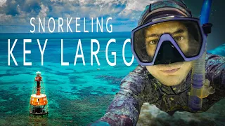 Key Largo Snorkeling - Best Snorkeling in Florida