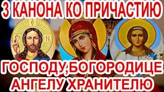 3 Канона ко Причастию Господу, Богородице, Ангелу Хранителю с текстом.