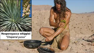 Primitive Hair Washing with Natural Shampoo During Full Moon in Wilderness