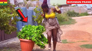 😂😂😂Her Leg Was Trapped! New Bushman Prank + Compilation 26.