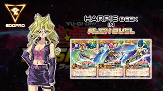 Mai Valentine vs anyone in Rush Duel!!! | Harpie Deck | EdoPro