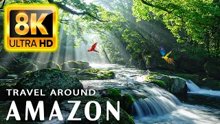 8K HDR 60FPS Dolby Vision - Amazon Rainforest 8K ULTRA HD (60FPS HDR10+)