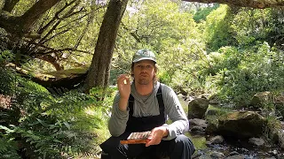 My Top 3 Australian River Nymphs | Fly Fishing