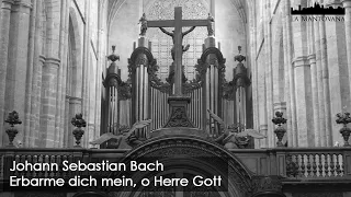 Bach: Erbarme dich mein, o Herre Gott BWV 721 - Bardon | La Mantovana