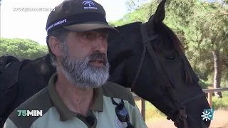 75 minutos | Vigilando el campo