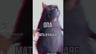 шутки про мать