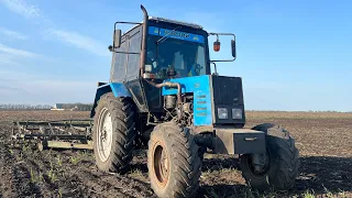 Культивація мтз 82🚜 під посів соняшника від Elita Select🌻