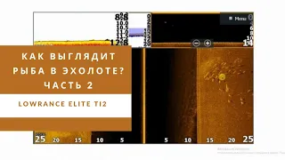 Как выглядит рыба в эхолоте? Lowrance Elite Ti2. 2 часть.