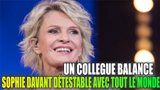 AFFAIRE CONCLUE : Sophie Davant violemment taclée pour son attitude en coulisses