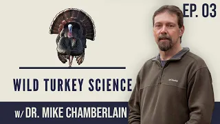 Can Season Frameworks Affect Wild Turkey Populations? w/ Dr. Mike Chamberlain | Ep. 03