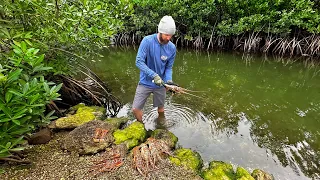 Winter Lobster Diving | Riding Out The Storm | CCC