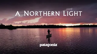 It’s All Home Water | A Northern Light